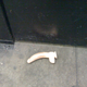 Illustration for article titled Found Thing: Disembodied, Veiny Thundercock...